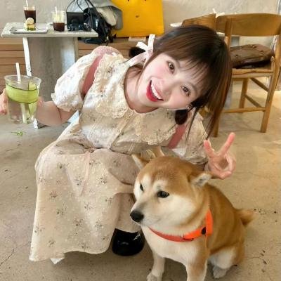 我最爱的女人们 宝藏版海报