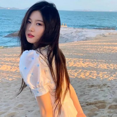 群芳谱海报